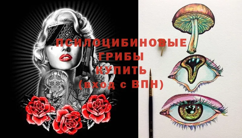 Галлюциногенные грибы GOLDEN TEACHER  Мензелинск 